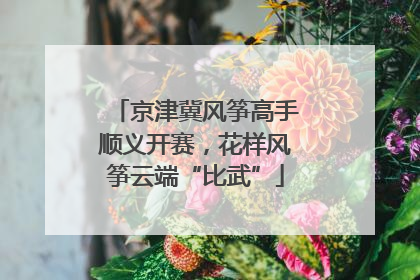 京津冀风筝高手顺义开赛，花样风筝云端“比武”