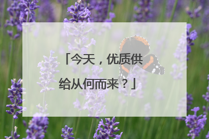 今天，优质供给从何而来？