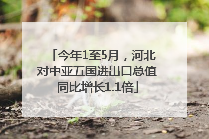 今年1至5月，河北对中亚五国进出口总值同比增长1.1倍