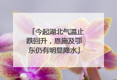 今起湖北气温止跌回升，恩施及鄂东仍有明显降水