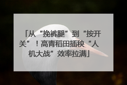 从“挽裤腿”到“按开关”！高青稻田插秧“人机大战”效率拉满