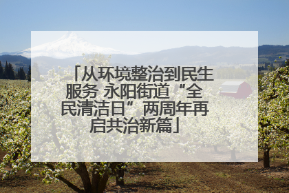 从环境整治到民生服务 永阳街道“全民清洁日”两周年再启共治新篇