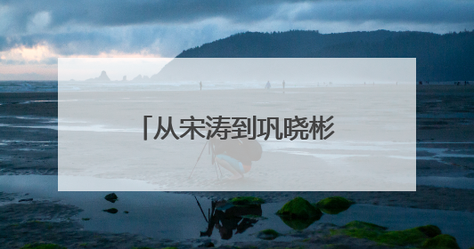 从宋涛到巩晓彬，从张子宇到杨瀚森，篮球逐梦山东“高人”不停歇