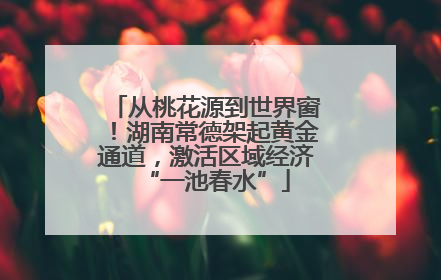 从桃花源到世界窗！湖南常德架起黄金通道，激活区域经济“一池春水”