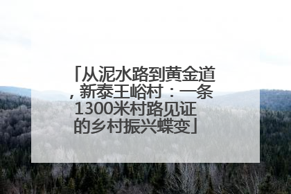从泥水路到黄金道，新泰王峪村：一条1300米村路见证的乡村振兴蝶变