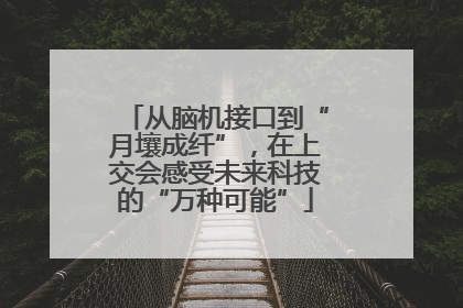 从脑机接口到“月壤成纤”，在上交会感受未来科技的“万种可能”
