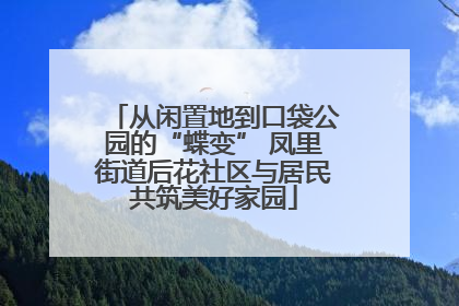 从闲置地到口袋公园的“蝶变” 凤里街道后花社区与居民共筑美好家园