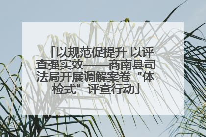 以规范促提升 以评查强实效——商南县司法局开展调解案卷“体检式”评查行动