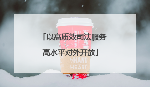 以高质效司法服务高水平对外开放