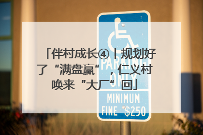 伴村成长④丨规划好了“满盘赢”，仁义村唤来“大厂”回