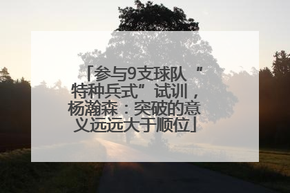 参与9支球队“特种兵式”试训，杨瀚森：突破的意义远远大于顺位