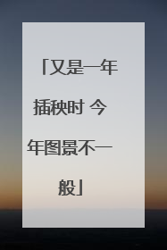又是一年插秧时 今年图景不一般