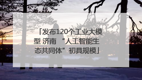 发布120个工业大模型 济南 “人工智能生态共同体”初具规模