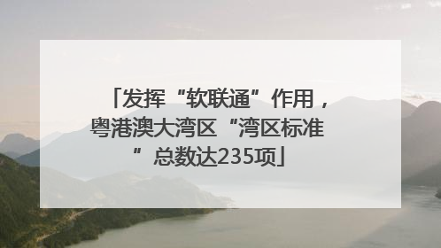 发挥“软联通”作用，粤港澳大湾区“湾区标准”总数达235项