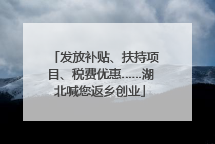 发放补贴、扶持项目、税费优惠……湖北喊您返乡创业