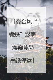 受台风“蝴蝶”影响 海南环岛高铁停运