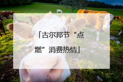 古尔邦节“点燃”消费热情