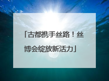 古都携手丝路！丝博会绽放新活力