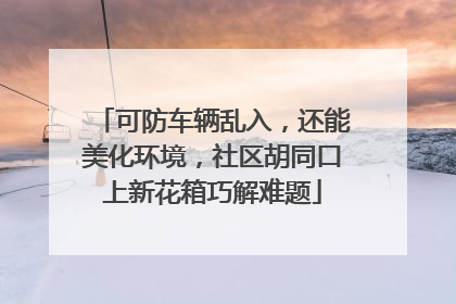 可防车辆乱入，还能美化环境，社区胡同口上新花箱巧解难题