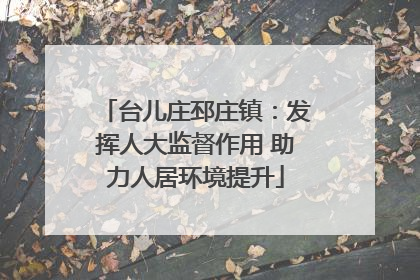 台儿庄邳庄镇：发挥人大监督作用 助力人居环境提升