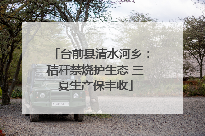台前县清水河乡：秸秆禁烧护生态 三夏生产保丰收