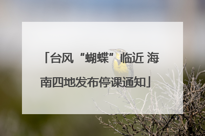 台风“蝴蝶”临近 海南四地发布停课通知