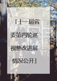 十一届省委第四轮巡视整改进展情况公开