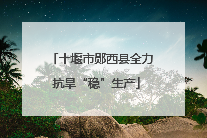 十堰市郧西县全力抗旱“稳”生产