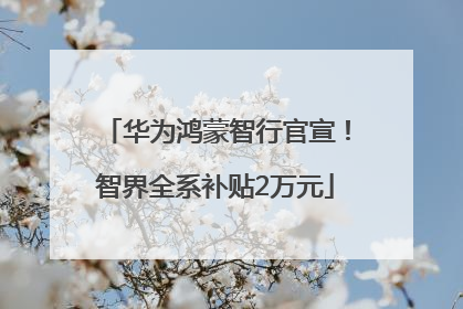 华为鸿蒙智行官宣！智界全系补贴2万元
