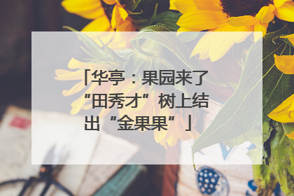 华亭：果园来了“田秀才”树上结出“金果果”