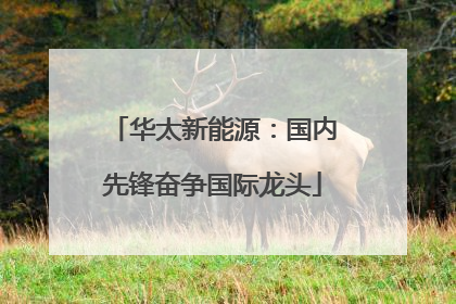华太新能源：国内先锋奋争国际龙头