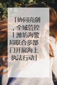协同亮剑，全域管控丨潍坊海警局联合多部门开展海上执法行动