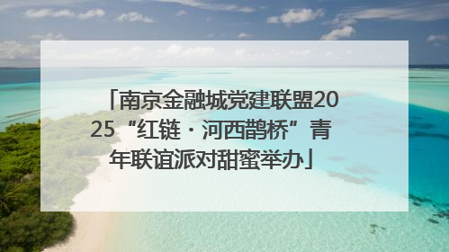 南京金融城党建联盟2025“红链・河西鹊桥”青年联谊派对甜蜜举办