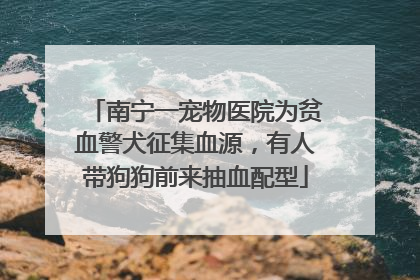 南宁一宠物医院为贫血警犬征集血源，有人带狗狗前来抽血配型