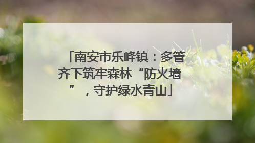 南安市乐峰镇：多管齐下筑牢森林“防火墙”，守护绿水青山