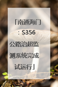 南通海门：S356公路治超监测系统完成试运行