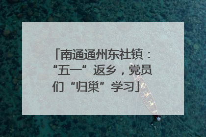 南通通州东社镇：“五一”返乡，党员们“归巢”学习