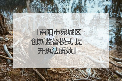 南阳市宛城区：创新监督模式 提升执法质效