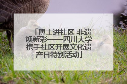 博士进社区 非遗焕新彩——四川大学携手社区开展文化遗产日特别活动