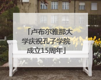 卢布尔雅那大学庆祝孔子学院成立15周年