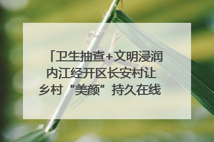 卫生抽查+文明浸润 内江经开区长安村让乡村“美颜”持久在线｜万千气象看四川