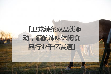 卫龙辣条双品类驱动，领航辣味休闲食品行业千亿赛道