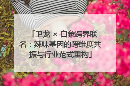 卫龙 × 白象跨界联名：辣味基因的跨维度共振与行业范式重构