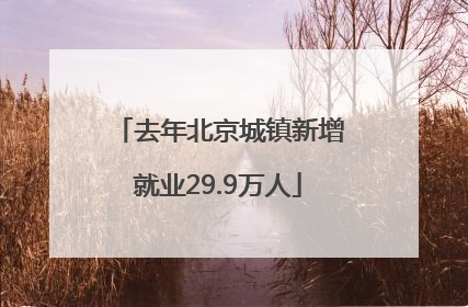 去年北京城镇新增就业29.9万人