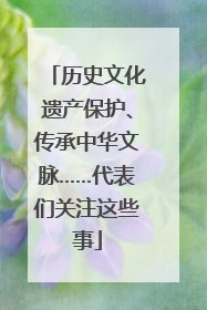 历史文化遗产保护、传承中华文脉……代表们关注这些事