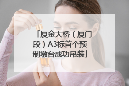 厦金大桥（厦门段）A3标首个预制墩台成功吊装