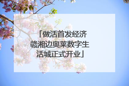 做活首发经济 赣湘边奥莱数字生活城正式开业