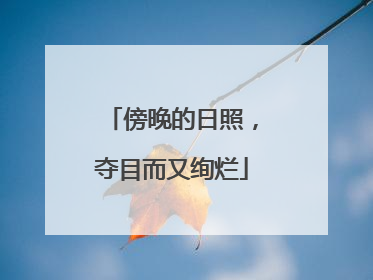 傍晚的日照，夺目而又绚烂