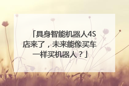 具身智能机器人4S店来了，未来能像买车一样买机器人？
