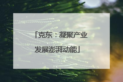 克东：凝聚产业发展澎湃动能